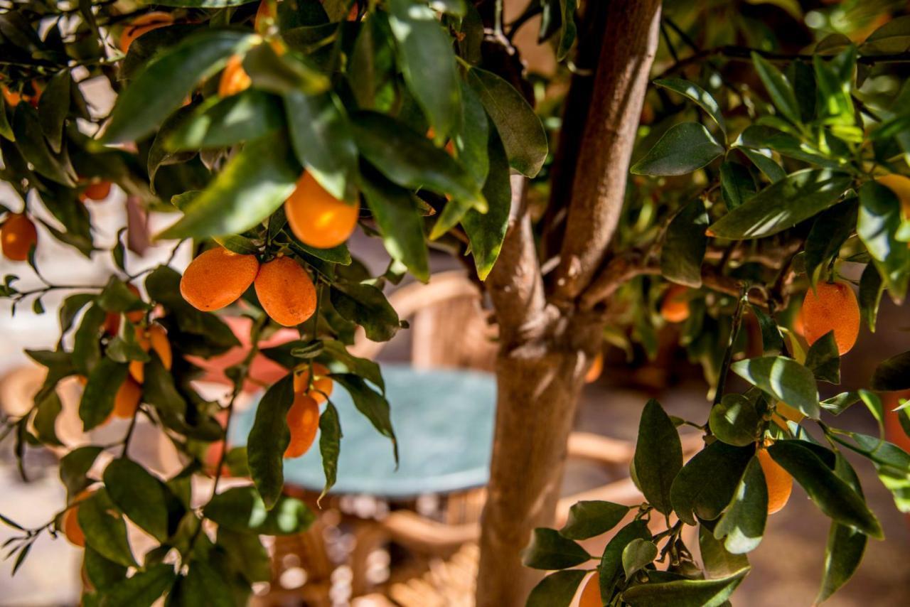 Bed and Breakfast Dar Camelia à Tyr Extérieur photo